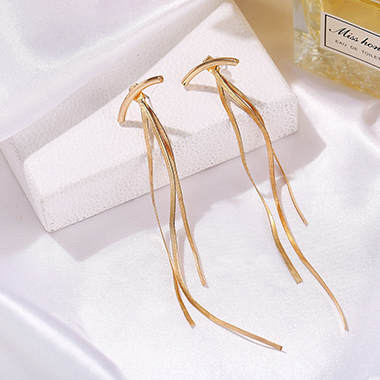 Gold Chain Tassel Metal Earring Set