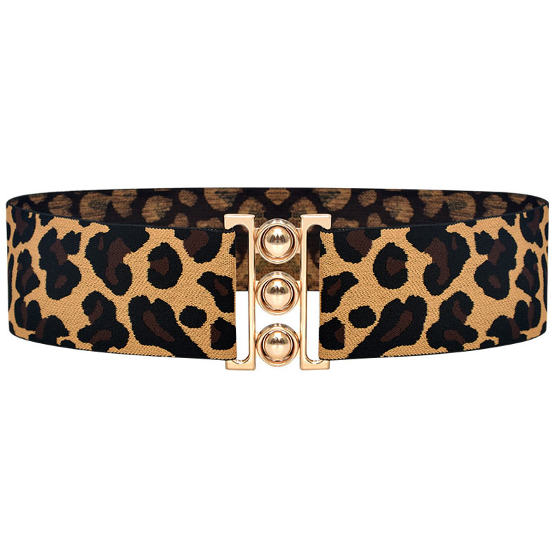 Leopard Multi Color Metal Detail Elastic Belt