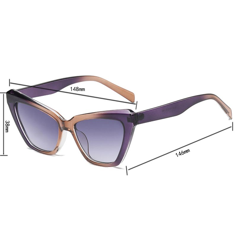 Cat Eye Frame Ombre Dusty Purple Sunglasses