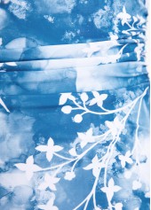 Floral Print Bowknot Dusty Blue One Piece Swimwear